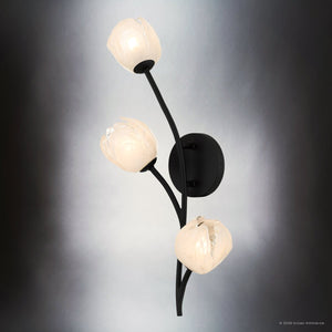 Urban Ambiance - Wall Sconce - UQL22094 Natural Indoor Wall Sconce, 24.25''H x 8''W x 7.5''Dep, Matte Black Finish, Alderwick Collection - 