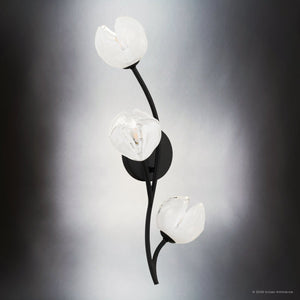 Urban Ambiance - Wall Sconce - UQL22094 Natural Indoor Wall Sconce, 24.25''H x 8''W x 7.5''Dep, Matte Black Finish, Alderwick Collection - 
