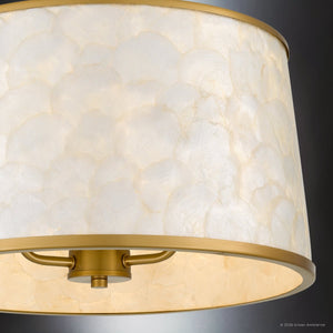 Urban Ambiance - Ceiling Light - UQL22140 Transitional Indoor Ceiling Light, 14''H x 16''W x 16''Dep, Brushed Gold Finish, Evershaw Collection - 