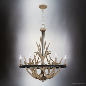 Urban Ambiance - Chandelier - UQL4821 Old World Indoor Chandelier, 31.00''H x 26.25''W x 26.25''D, Earth Black Finish, Vilnius Collection - 