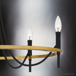 Urban Ambiance - Chandelier - UQL4870 Transitional Indoor Chandelier, 22.50''H x 26.00''W x 26.00''D, Matte Black Finish, Sitka Collection - 