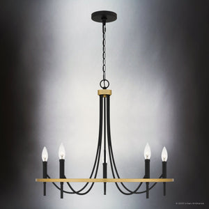 Urban Ambiance - Chandelier - UQL4870 Transitional Indoor Chandelier, 22.50''H x 26.00''W x 26.00''D, Matte Black Finish, Sitka Collection - 