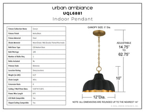 Urban Ambiance - Pendant - UQL6881 Bohemian Indoor Pendant, 10''H x 12''W x 12''Dep, Matte Black Finish, Corwyn Collection - 