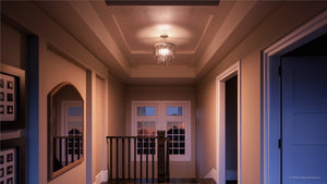 A unique and luxurious image of a hallway with an UHP2466 Cosmopolitan Ceiling Light, 15-1/2