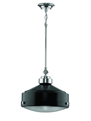 A gorgeous pendant light with a Midnight Black Finish.
