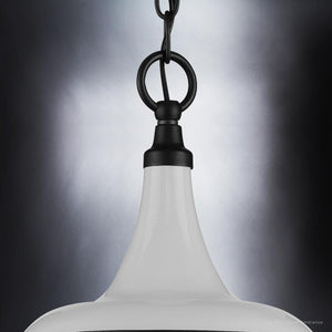 A gorgeous Urban Loft Pendant Light with a black chain.