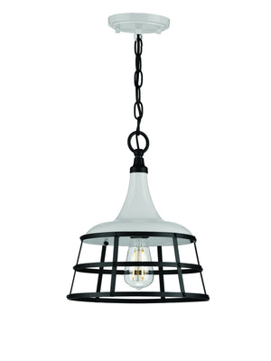 A unique urban loft pendant light with a cage for a lighting fixture.