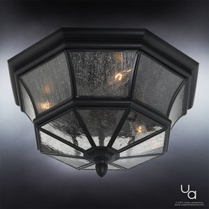 A beautiful Urban Ambiance UQL1155 Colonial Outdoor Ceiling Light, 8