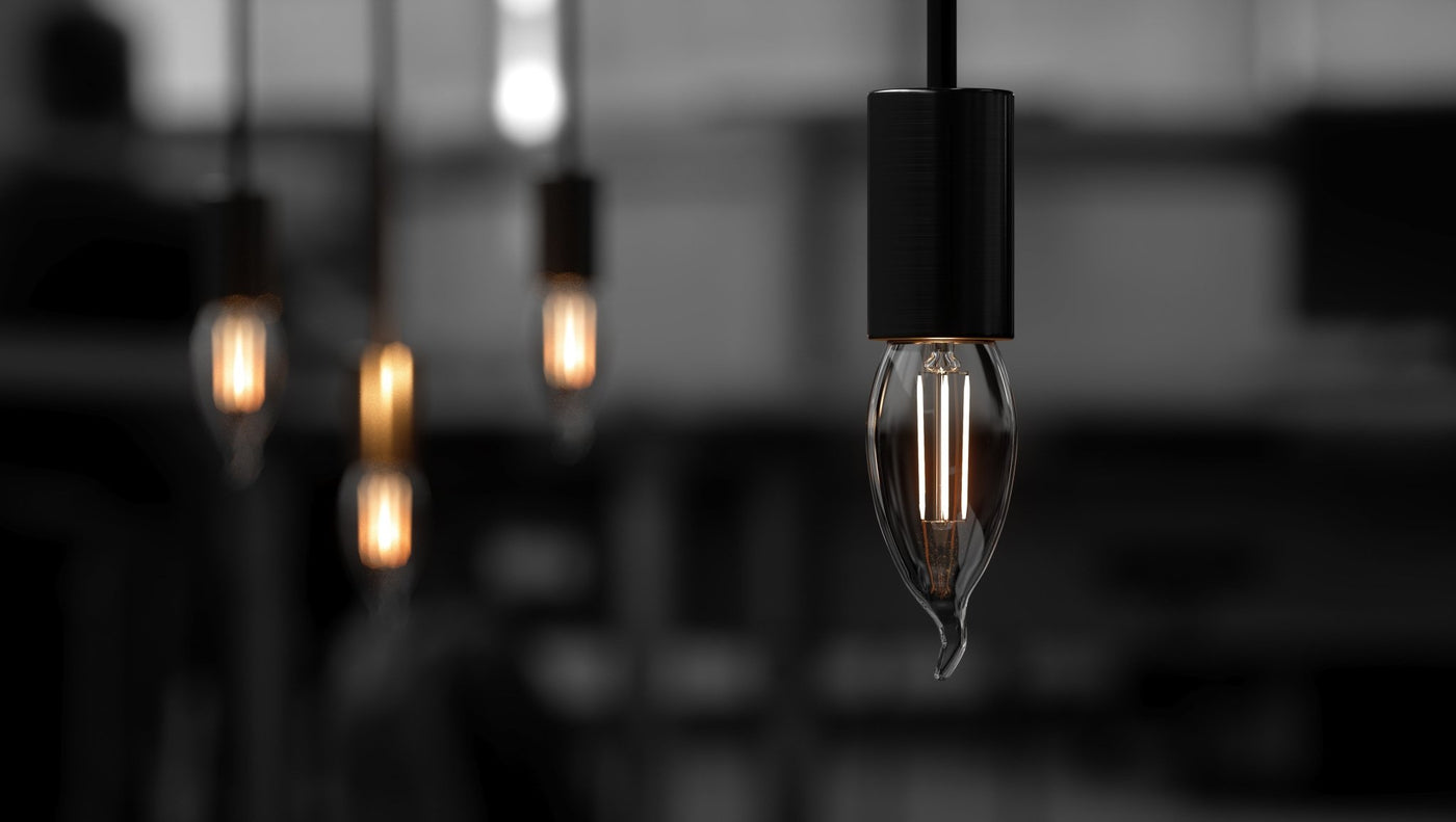 40w black light bulb cheap