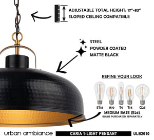 An image of a gorgeous 11''H x 16''W matte black pendant light from the Caria Collection by Urban Ambiance.