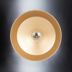A luxurious ULB2202 Modern Farmhouse Ceiling Light manufactured by Urban Ambiance, showcasing a gorgeous design against a black background.
