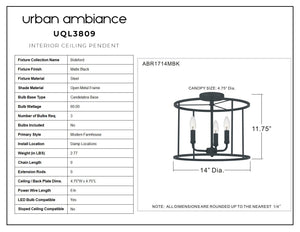 Urban Ambiance - UQL3809 Modern Farmhouse Ceiling 11.75''H x 14''W, Matte Black Finish, Bideford Collection - lighting fixture
