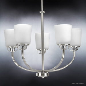 Four beautiful UHP2765 Transitional Chandeliers with white glass shades.